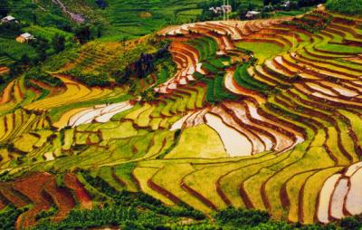 Những điểu bạn nên làm khi phượt Mù căng Chải
